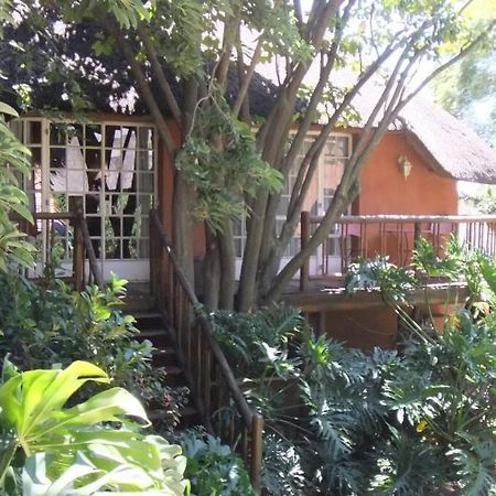 Treetops & Treats Guest House Претория Экстерьер фото