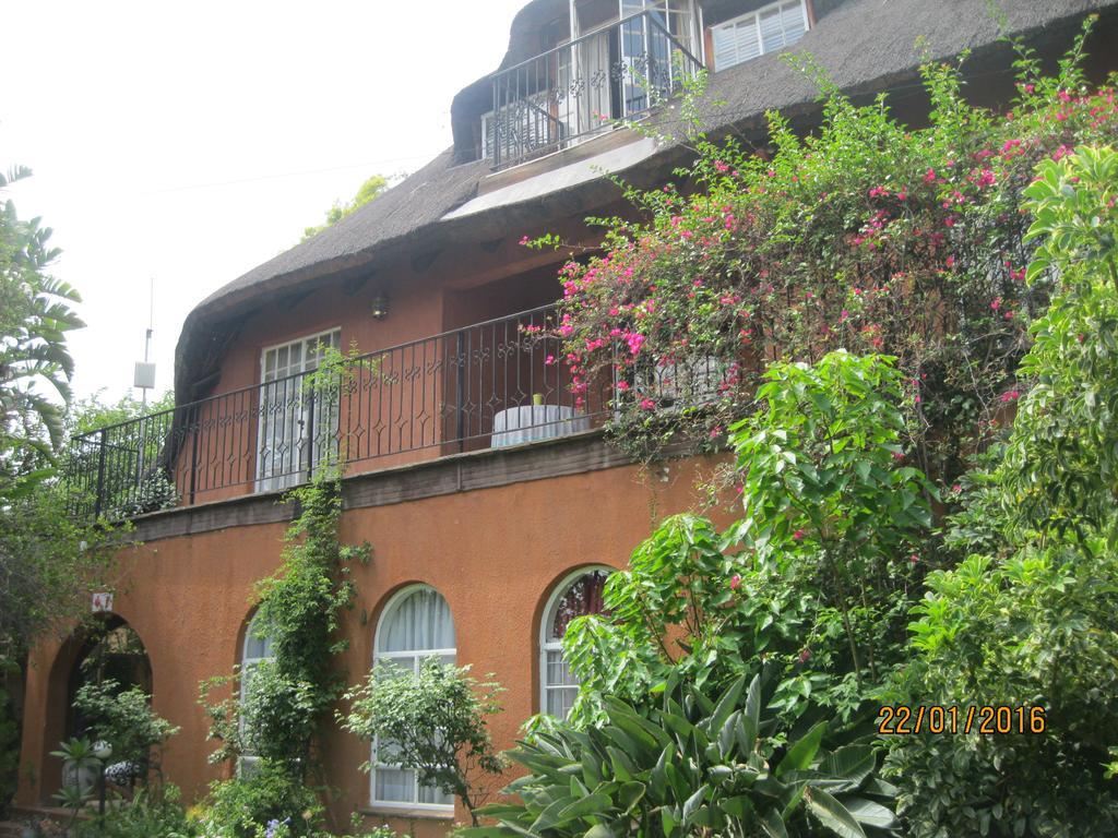 Treetops & Treats Guest House Претория Экстерьер фото