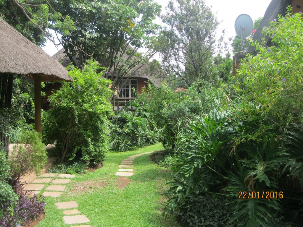 Treetops & Treats Guest House Претория Экстерьер фото
