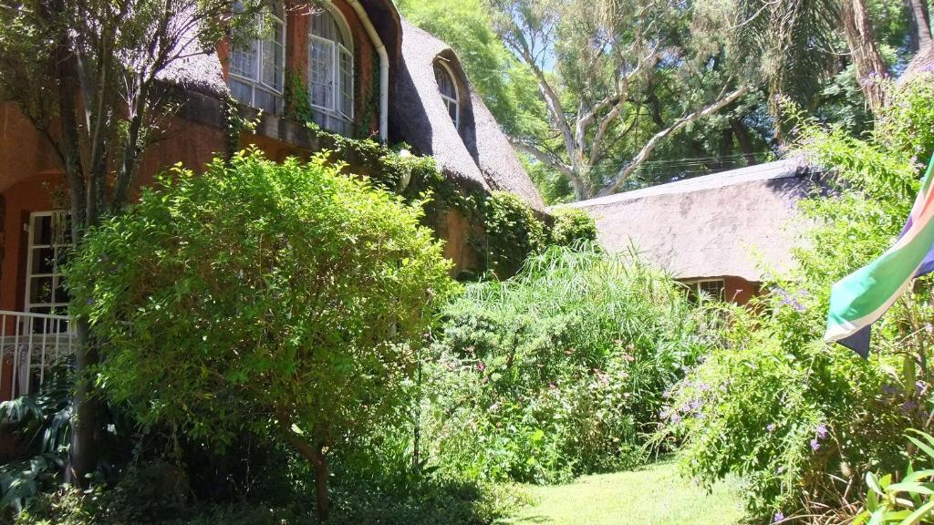 Treetops & Treats Guest House Претория Экстерьер фото