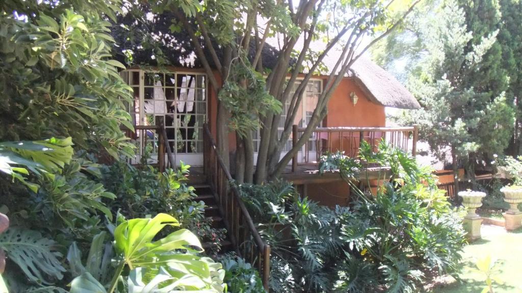 Treetops & Treats Guest House Претория Экстерьер фото