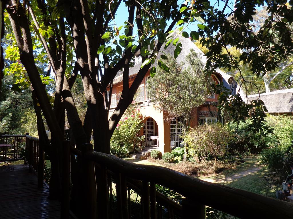 Treetops & Treats Guest House Претория Экстерьер фото