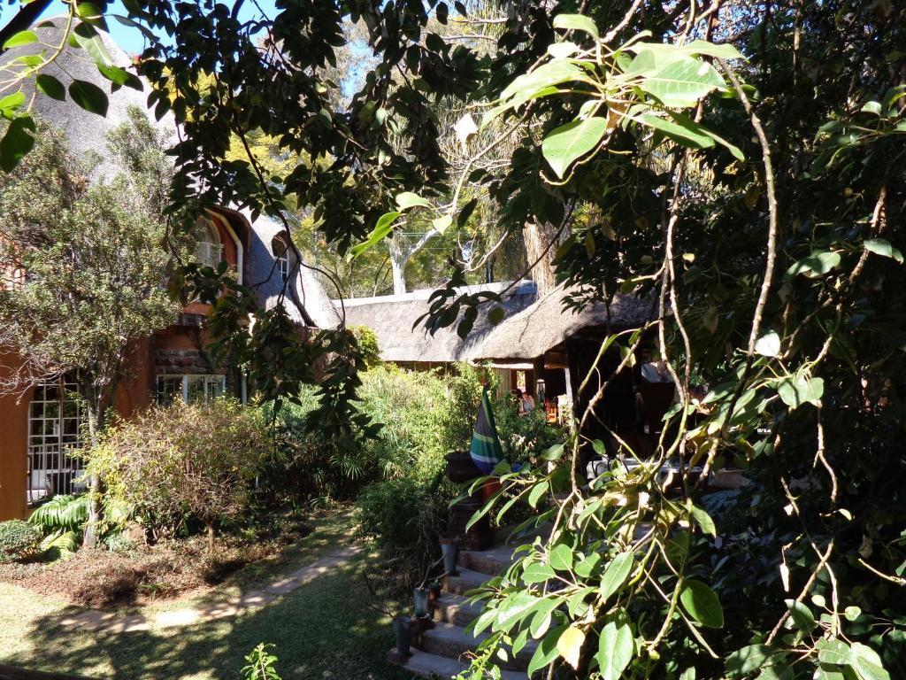 Treetops & Treats Guest House Претория Номер фото
